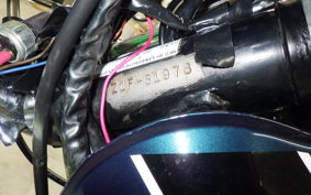 KAWASAKI Z1000 2025 Z1F