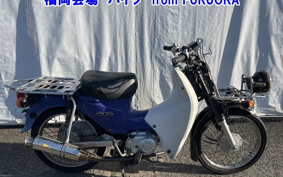OTHER C110 PRO 
