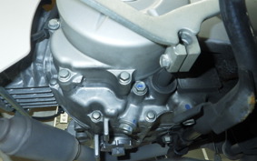 HONDA C110 SUPER CUB