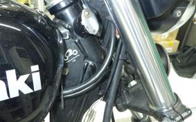 KAWASAKI 250TR 2024 BJ250F