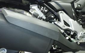 SUZUKI V-STROM 250