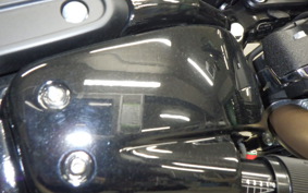 HARLEY FXFBS1870 2024