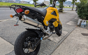 HONDA GROM JC61