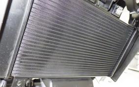 KAWASAKI ELIMINATOR400-3SE 2025 EL400A