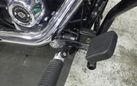 HARLEY FXBR1920 2024