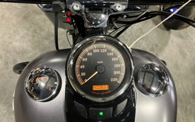 HARLEY FLS 2014 JR5