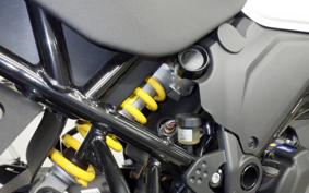 DUCATI DESSERT X 2024