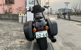 HARLEY FLSB 2019 YMJ