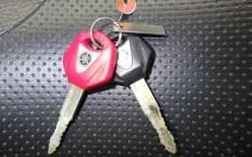 YAMAHA XJR1300 Gen.2 2007 RP17J