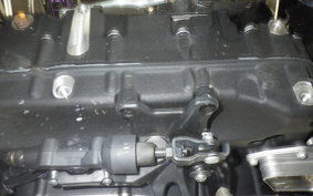 HARLEY RH975S 2024