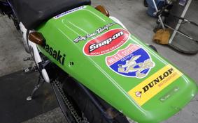 KAWASAKI KLX250 SR LX250E