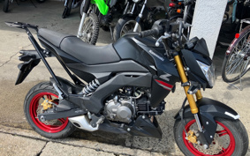 KAWASAKI Z125 PRO BR125H