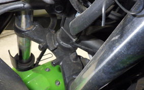 KAWASAKI NINJA 250 EX250L