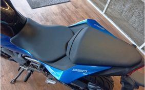 KAWASAKI Z250 SL BR250E