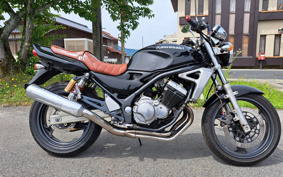 SUZUKI GSX250 ZR250C