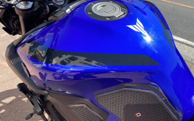 YAMAHA MT-09 ABS 2019 RN52J