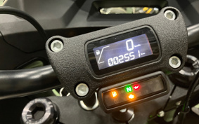 HARLEY FXLRST YXZ