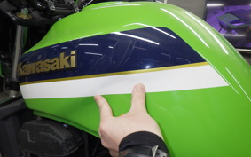 KAWASAKI ZRX1200 D 2015 ZRT20D