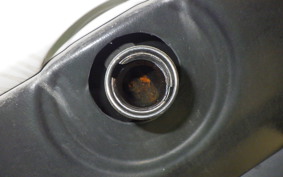 OTHER +UNREGISTERED MODEL by BDS TRIKE125