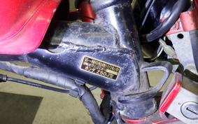 HONDA MONKEY 2020 Z50J