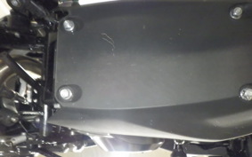 BMW G310R 2024