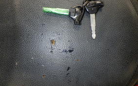 YAMAHA AXIS 125 TREET SE53J