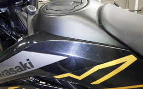 KAWASAKI KLX230SM 2011 LX230A