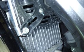 HONDA CRF250 RALLY MD44