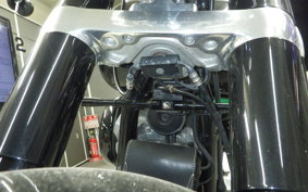 HARLEY FLSL 1750 2019