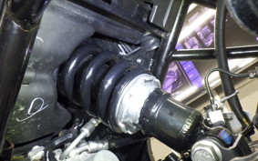 YAMAHA FZ25 2021