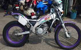 YAMAHA TY250Z SCOTTISH 4ML
