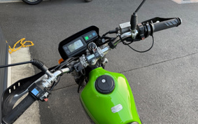 KAWASAKI SUPER SHERPA KL250G