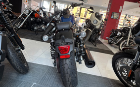 HARLEY  HARLEY RH975S NIGHT  STAR  2023 ZF1