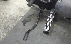HARLEY XL883N 2010