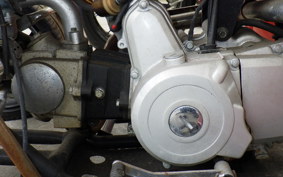 OTHER +UNREGISTERED MODEL by BDS