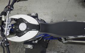 BMW HP2 MEGAMOTO 2008