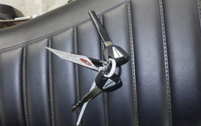 KAWASAKI Z900RS 2022 ZR900C