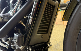 HARLEY FXLRS 2025 YWA