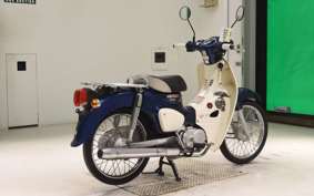 HONDA C50 SUPER CUB 2009 AA09