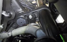 KAWASAKI ZX-4R SE 2024 ZX400P