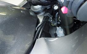 SUZUKI HAYABUSA Gen.3 2024 EJ11A