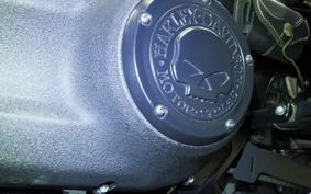 HARLEY FXBB1750 2020