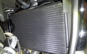 HONDA NX400 2025 NC65