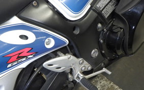 SUZUKI HAYABUSA Gen.2 2009