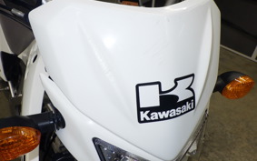 KAWASAKI KLX125 2013 LX125C