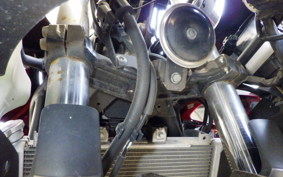 KAWASAKI NINJA 250 EX250P