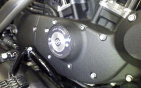 HARLEY XL883N 2021