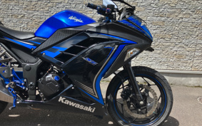 KAWASAKI NINJA 250 EX250L