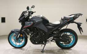 YAMAHA MT-25 A 2008 RG74J