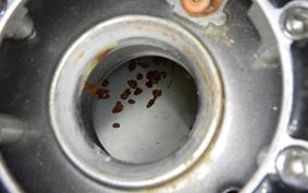 SUZUKI GSX1300R HAYABUSA 2001